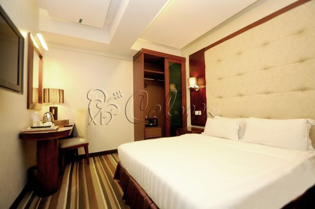 Hotel Celyn